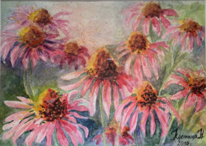 rudbekii